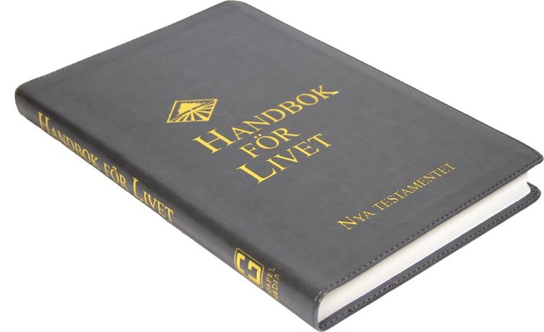 Handbok för livet - NT grå 1