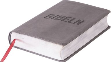 bokomslag Bibeln för alla : grå