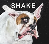 bokomslag Shake