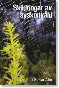 bokomslag Skildringar av syskonvåld