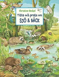 bokomslag Titta och prata om sjö & bäck