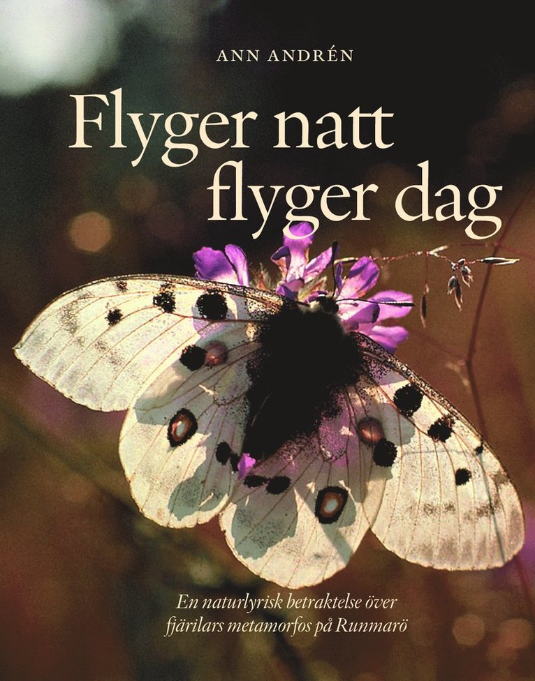 Ann Andrén - Flyger natt flyger dag, Inbunden