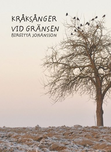 bokomslag Kråksånger vid gränsen