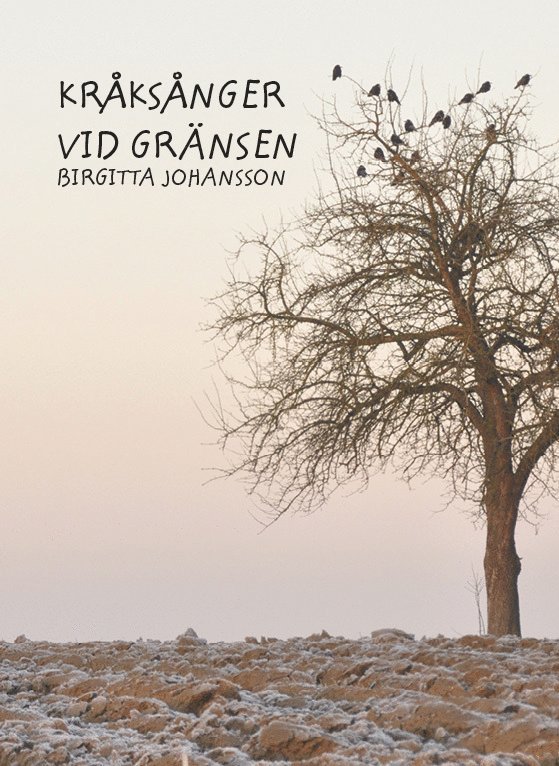 Birgitta Johansson - Kråksånger vid gränsen, Inbunden