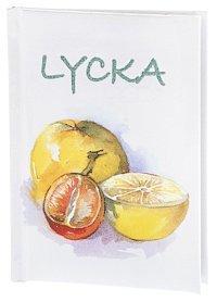 bokomslag Lycka (Fnitter)