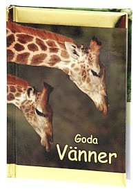 bokomslag Goda Vänner (Kompisar)