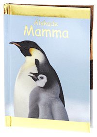 bokomslag Älskade Mamma (Kompisar)