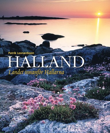 bokomslag Halland : landet innanför hallarna