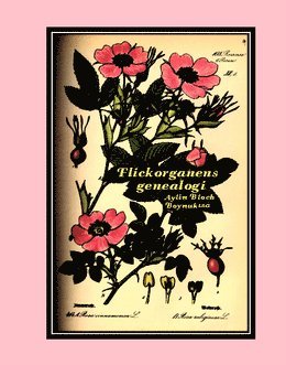 Aylin Bloch Boynukisa - Flickorganens genealogi, Häftad