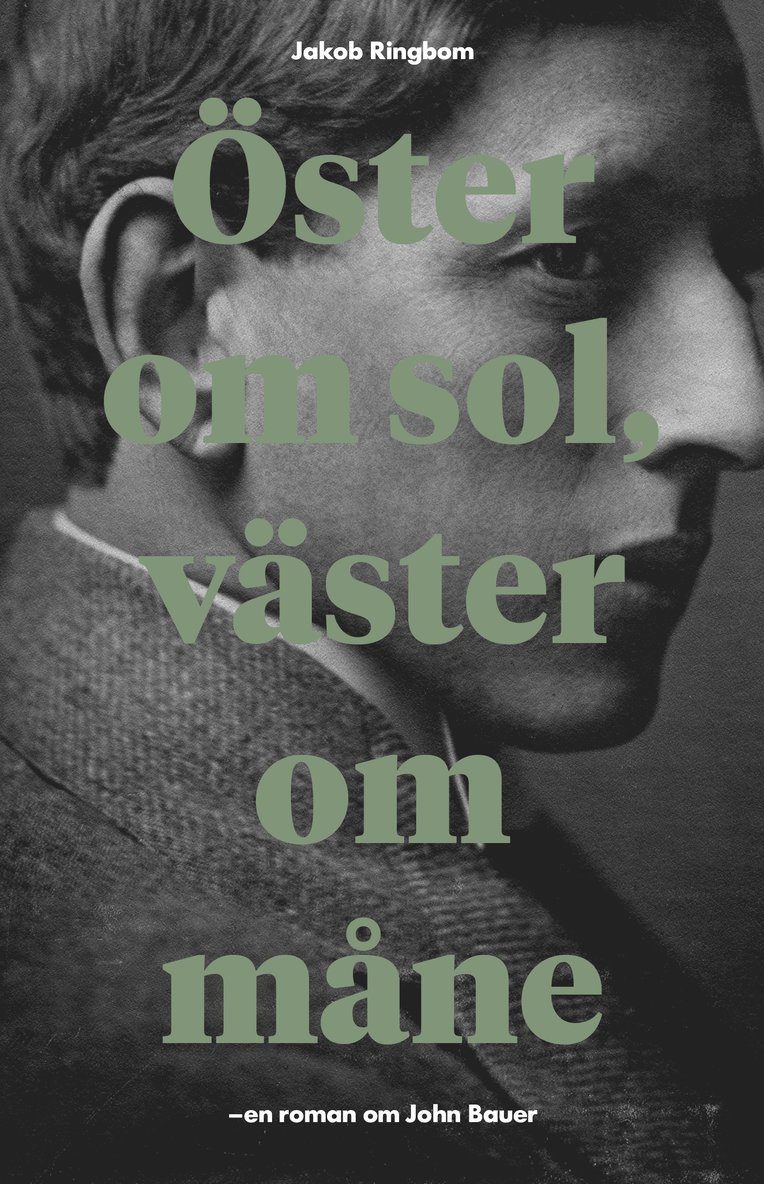 Öster om sol, väster om måne : en roman om John Bauer