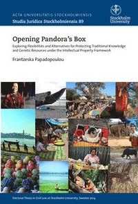 bokomslag Opening Pandora's box : Exploring flexibilities and alternatives for protecting traditional knowledge and genetic resources under the intellectual property framework
