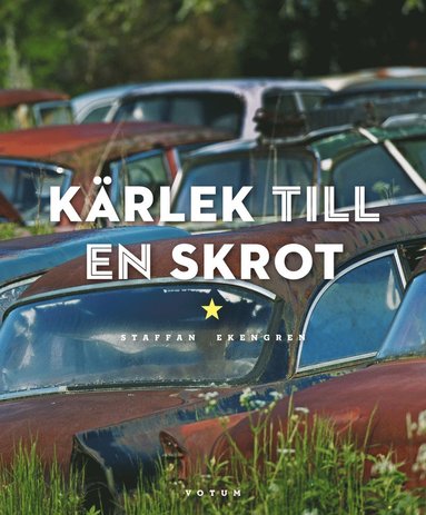 bokomslag Kärlek till en skrot