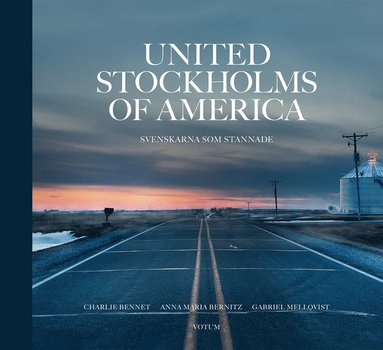 bokomslag United Stockholms of America : Svenskarna som stannade