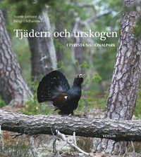 bokomslag Tjädern och urskogen : i Tyresta nationalpark