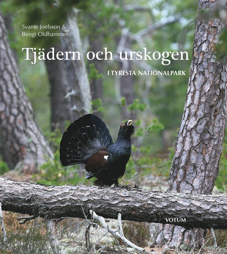 Tjädern och urskogen : i Tyresta nationalpark 1