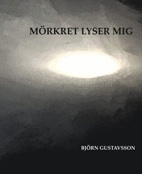 bokomslag Mörkret lyser mig