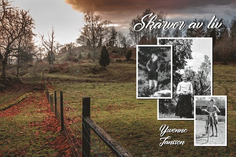 Ywonne Jansson - Skärvor av liv, Inbunden