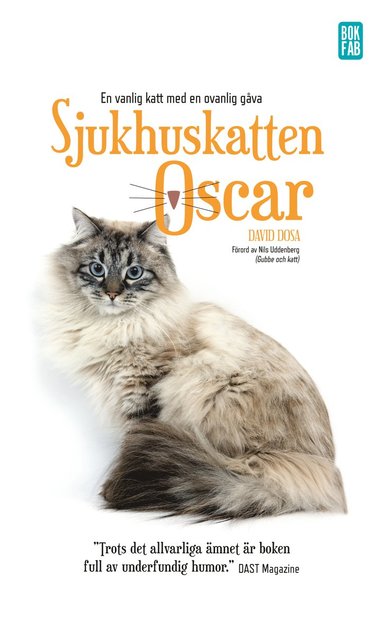 bokomslag Sjukhuskatten Oscar : en vanlig katt med en ovanlig gåva