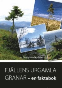 Fjällens urgamla granar 1