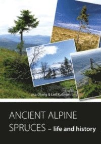 bokomslag ANCIENT ALPINE SPRUCES - life and history