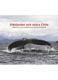 bokomslag Eldslandet och södra Chile : bilder från en resa med kamera