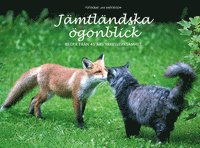 Jan Andersson - Jämtländska ögonblick : bilder från 45 års yrkesverksamhet, Inbunden