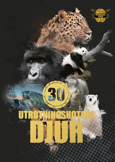 Illugi Jökulsson - 30 utrotningshotade djur, Inbunden