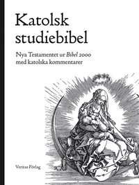 bokomslag Katolsk studiebibel : Nya testamentet ur Bibel 2000 med katolska kommentarer