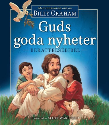 bokomslag Guds goda nyheter - berättelsebibel