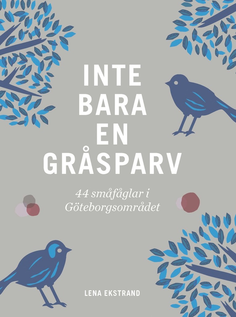 Lena Ekstrand - Inte bara en gråsparv : 44 småfåglar i Göteborgsområdet, Häftad