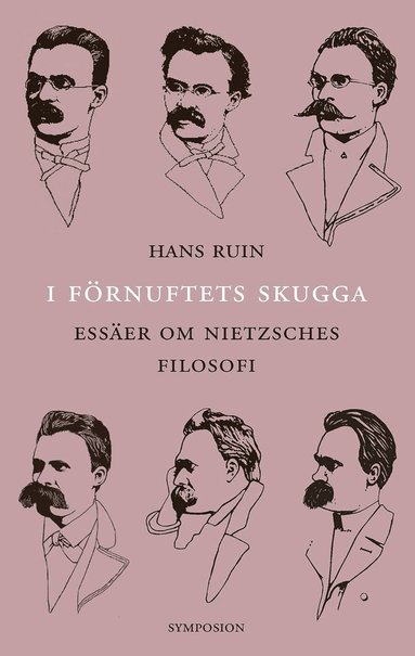 bokomslag I förnuftets skugga : essäer om Nietzsches filosofi