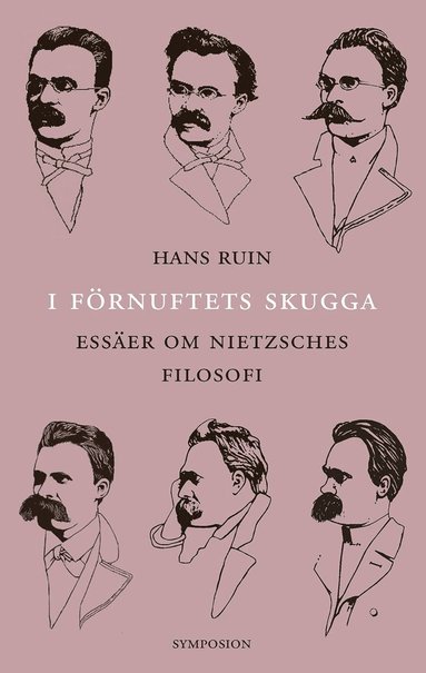 bokomslag I förnuftets skugga : essäer om Nietzsches filosofi