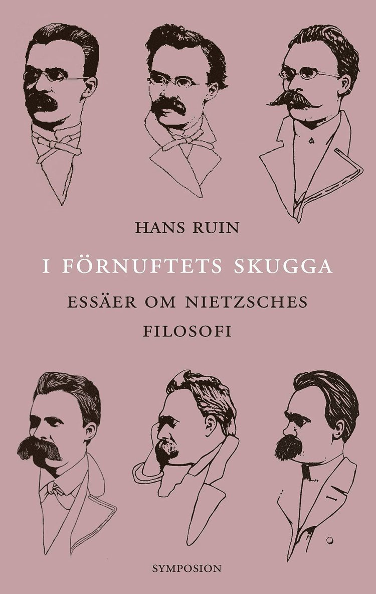 I förnuftets skugga : essäer om Nietzsches filosofi 1