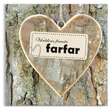 bokomslag Världens finaste farfar