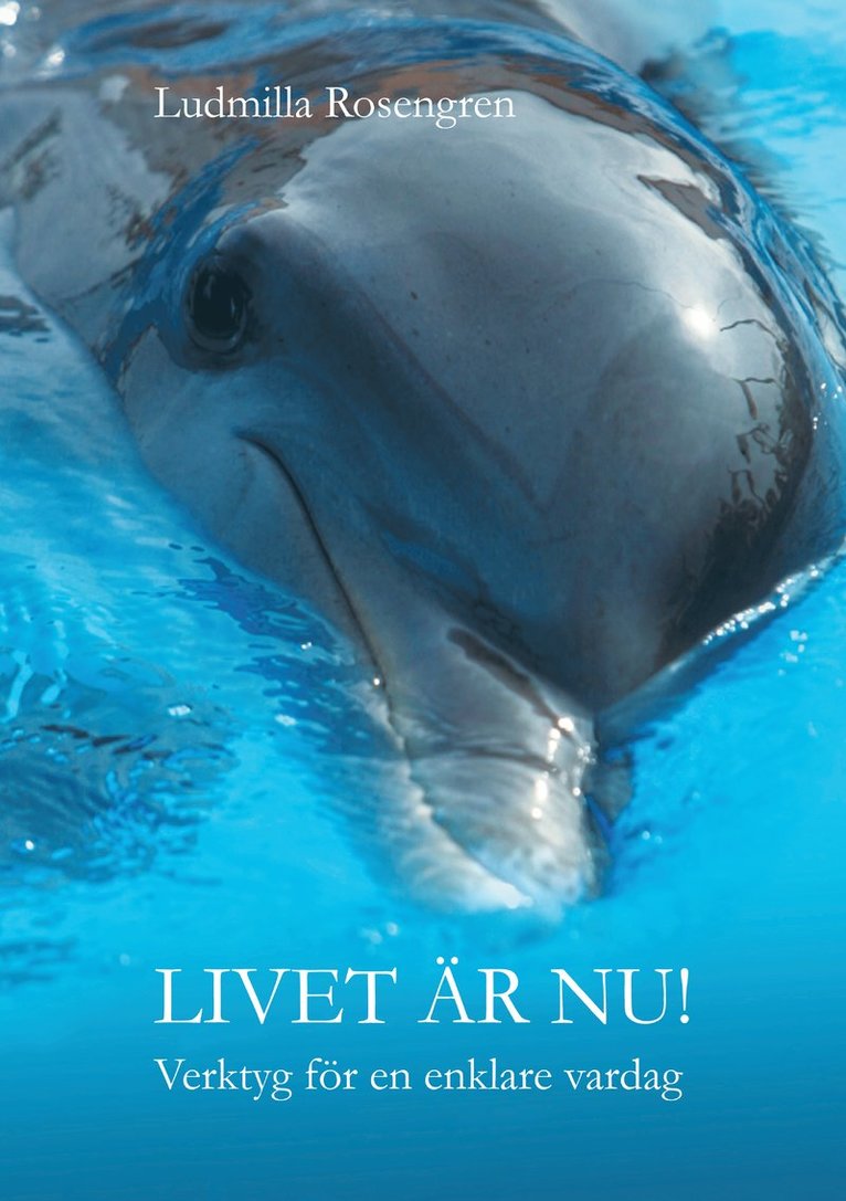 Ludmilla Rosengren - Livet är nu! : verktyg för en enklare vardag, Inbunden