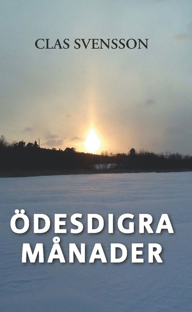 bokomslag Ödesdigra månader