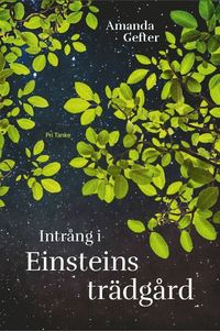 bokomslag Intrång i Einsteins trädgård : en far, en dotter, ingentings mening och alltings början