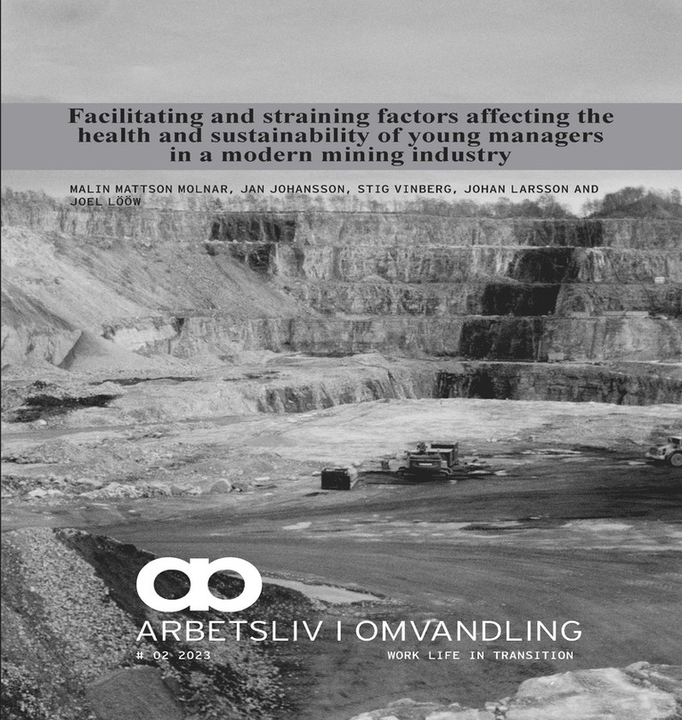 Facilitating and straining factors affecting the health and sustainability of young managers in a modern mining industry : self-fulfilment and development - a buffer for young managers? 1