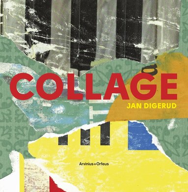 Jan Digerud, Mari Hvattum - Collage and Architecture, Inbunden