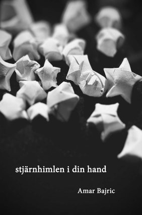 bokomslag Stjärnhimlen i din hand