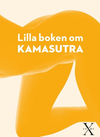 bokomslag Lilla boken om kamasutra