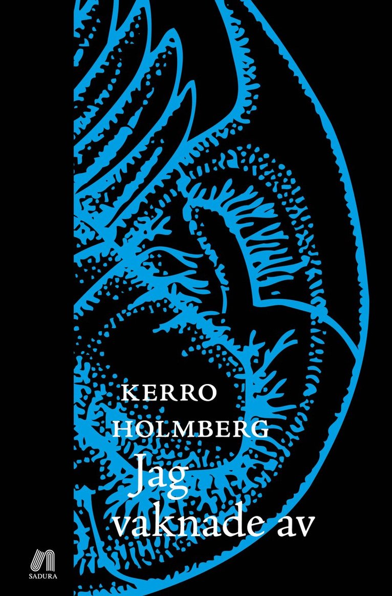 Kerro Holmberg - Jag vaknade av, Häftad