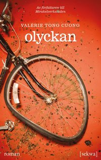 bokomslag Olyckan