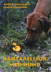 bokomslag Kantarellsök med hund