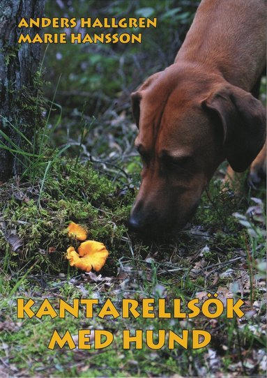 bokomslag Kantarellsök med hund