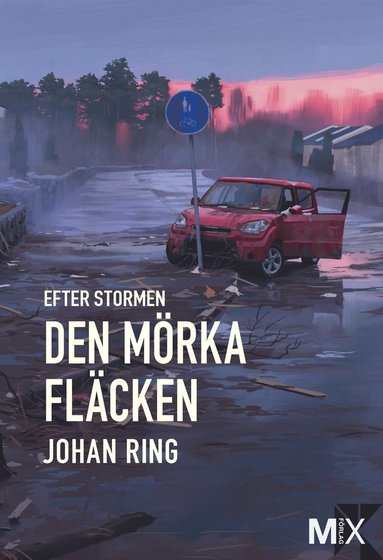 bokomslag Efter stormen. Den mörka fläcken