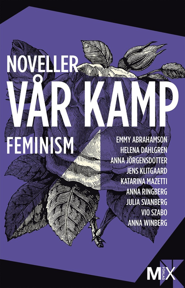 Vår kamp : feministiska noveller 1