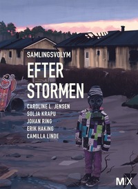 bokomslag Efter stormen : utökad samlingsvolym
