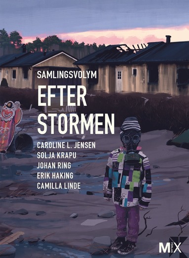 bokomslag Efter stormen : utökad samlingsvolym