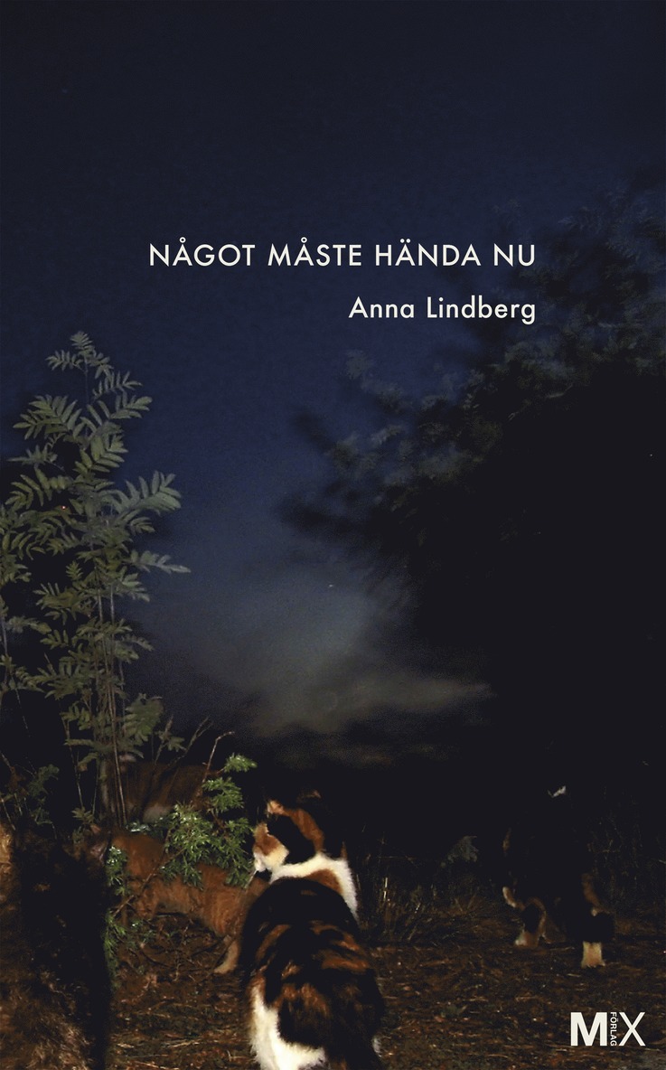 Anna Lindberg - Något måste hända nu, Häftad